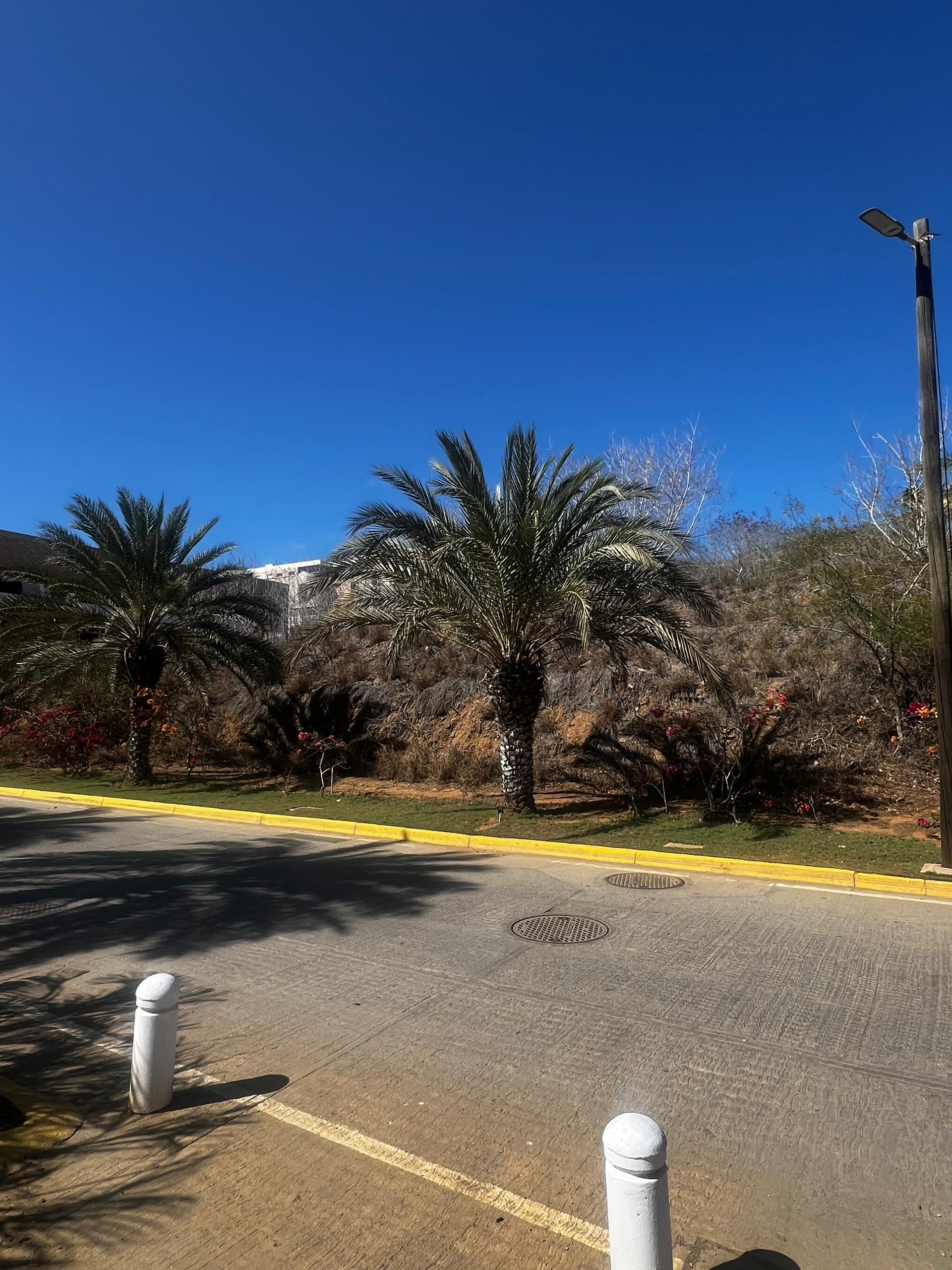 Terreno en Playa Moreno 