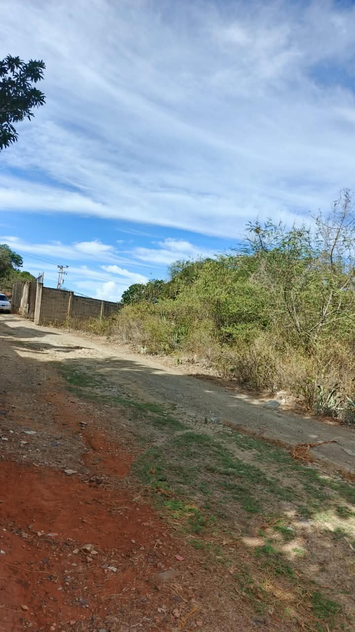 Terreno en El Salado 
